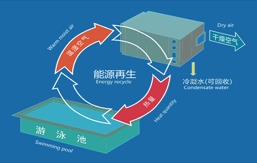 泳池除濕機(jī)廠(chǎng)家